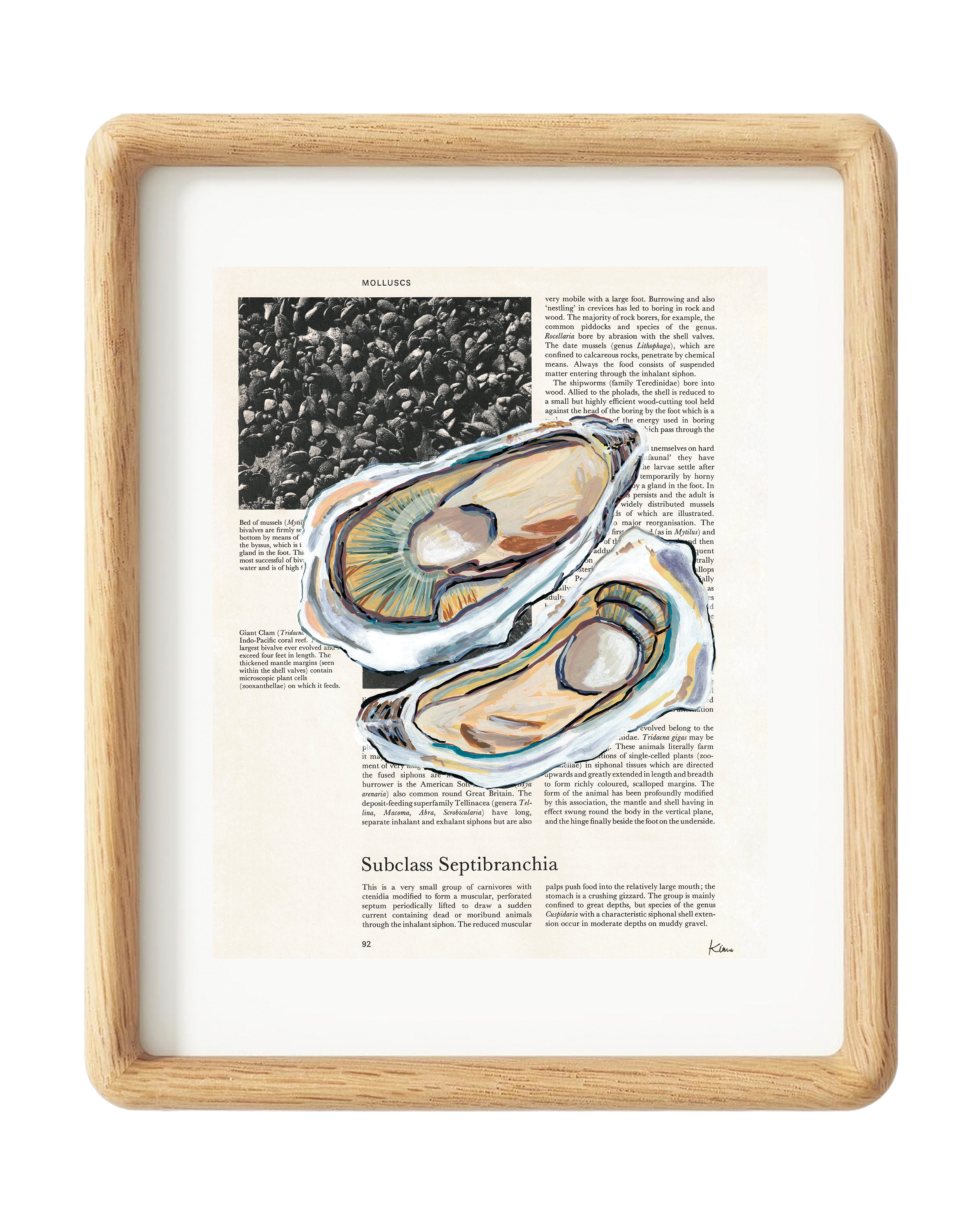 Oysters