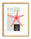 Starfish