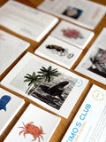 Print Club Membership