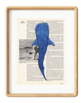 Whale Shark