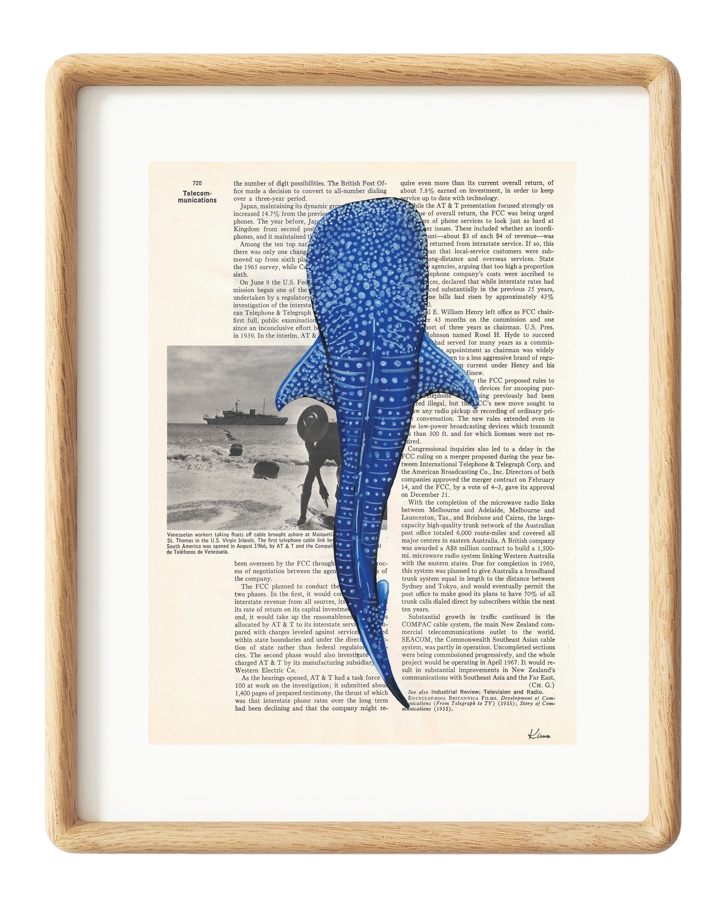 Whale Shark